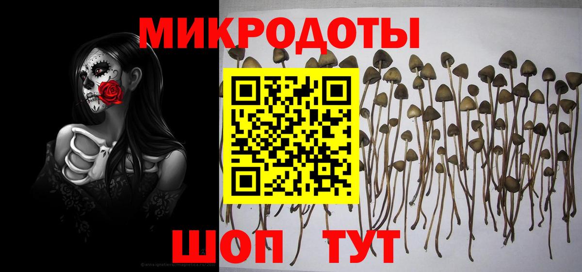 Галлюциногенные грибы мицелий  Псилоцибиновые грибы Cubensis  Обнинск  Вход с VPN 